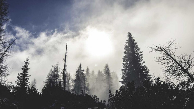 30 inspirational quotes about acetylated thc