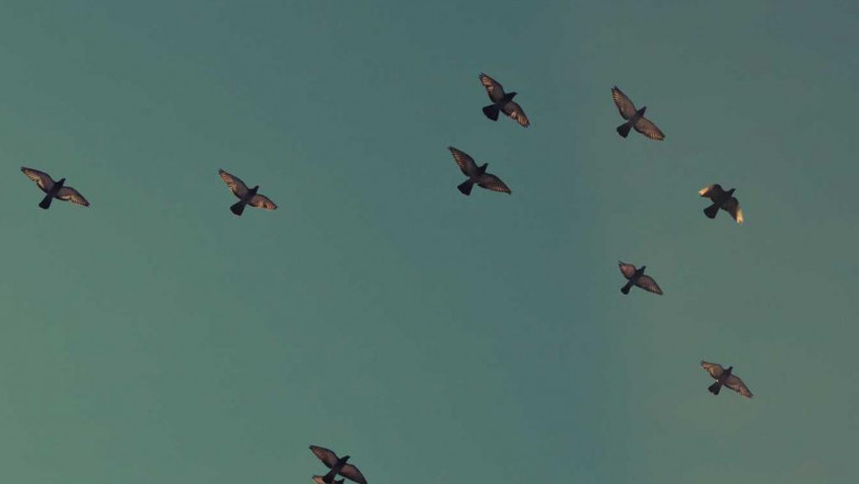 choosing kitchen countertops