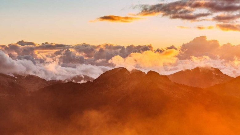 sage advice about gold silver delta 8 disposable from a fiveyearold