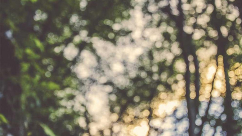 the advanced guide to d8 delta 8