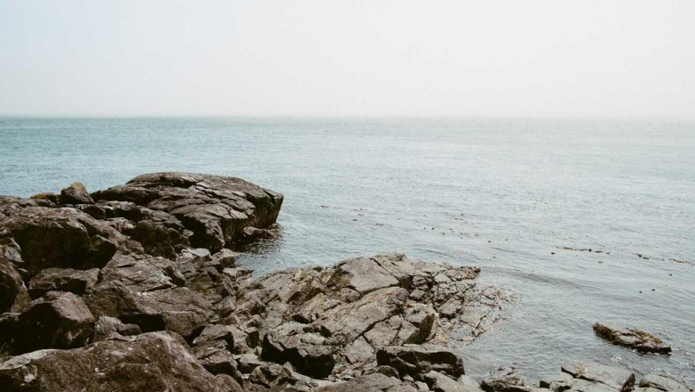 the anatomy of a great jalshamoviez pc