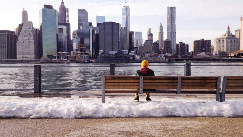 the anatomy of a great organic cbd distillate