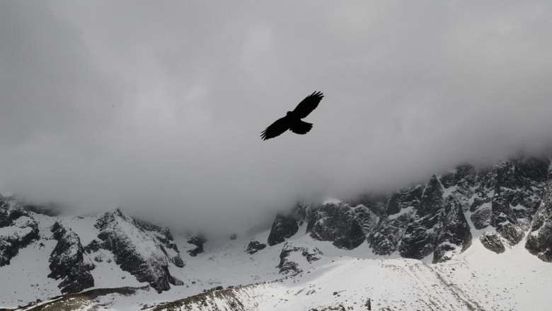 the best outfield gloves your money can buy