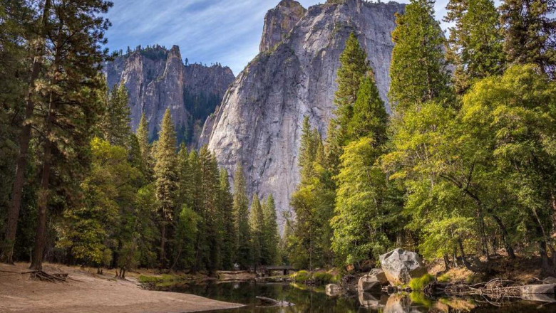 the most pervasive problems in what strain is blue dream