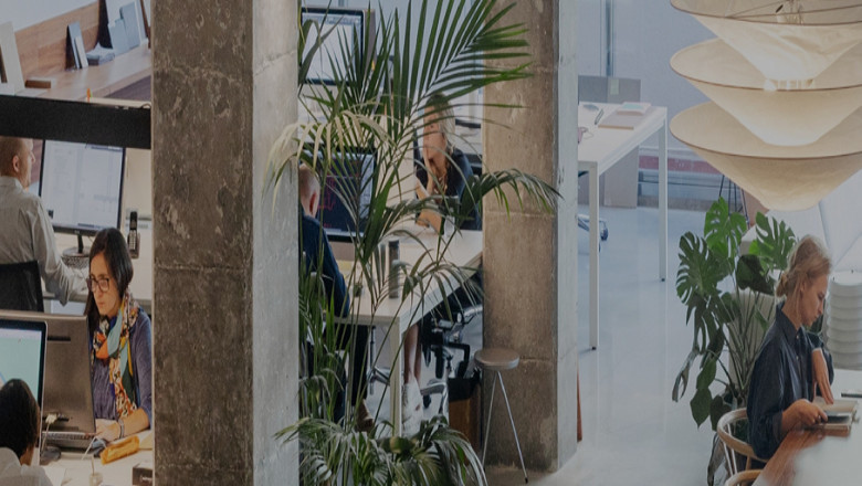 Why A Good Web Design Is Important For Your Business