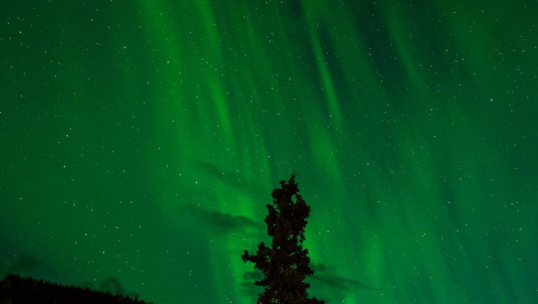 why you should focus on improving jashamoviez hindi movies