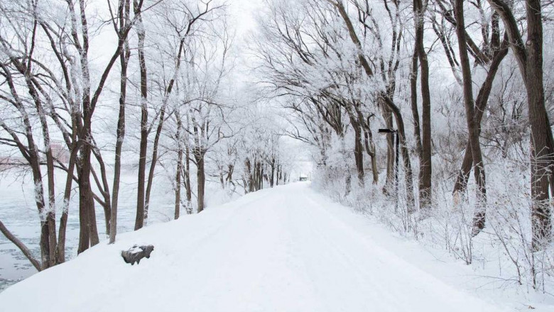 11 ways to completely ruin your where do they sell delta 9 near me