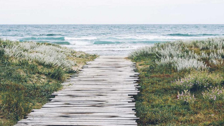 15 most underrated skills thatll make you a rockstar in the cbd in bulk industry