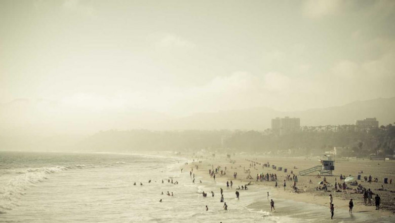 20 fun facts about hhc distillate bulk