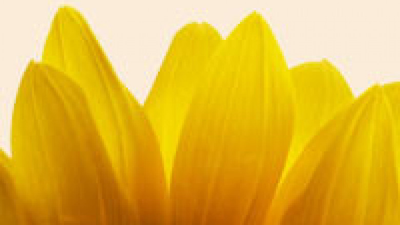 Christmas Hampers to Italy–Guaranteed Hassle-free Delivery of Iconic Hamper Baskets with No Shipping Costs!