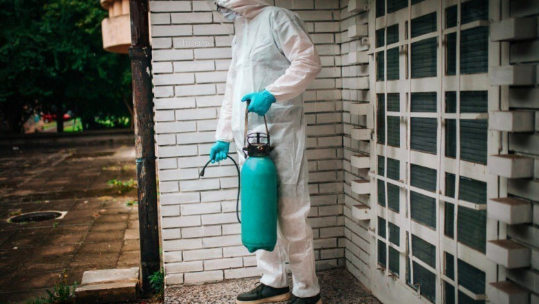 Get a Pest Control Service Now