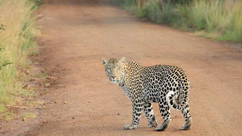 mejores consejos de un cerrajero experto sobre de que manera resguardar sus ventanas
