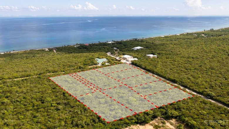 Some of the Best Things to Do on Little Cayman