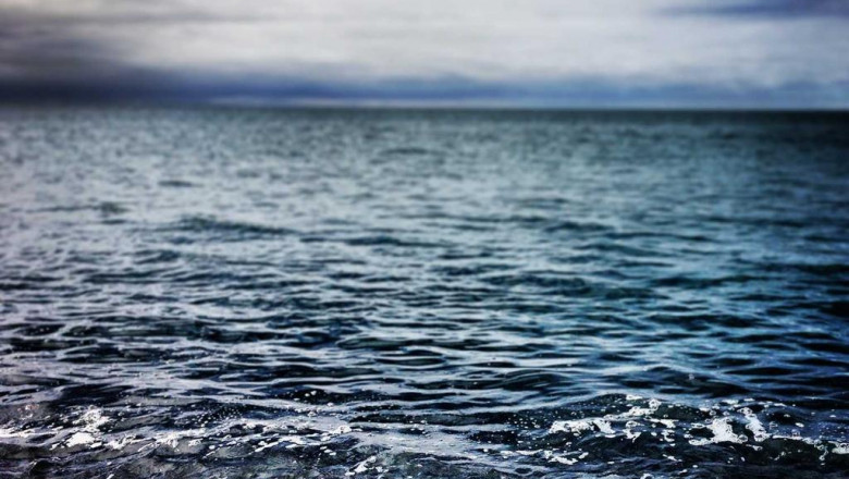 the anatomy of a great buy delta 8 online legit