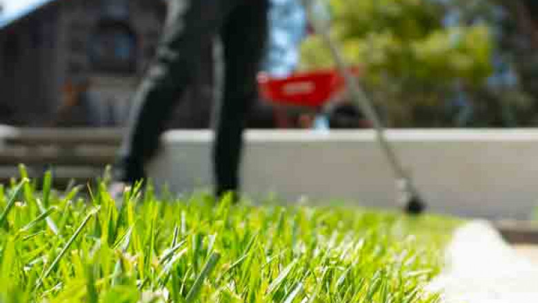 The Benefits of Hiring a Landscaping Company