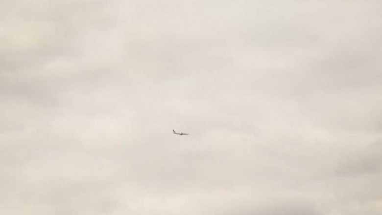 whats the current job market for lakadong turmeric professionals like