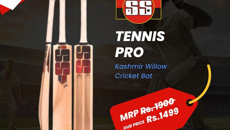 Buy SS Kashmir Willow Cricket Bat at Thetidkes