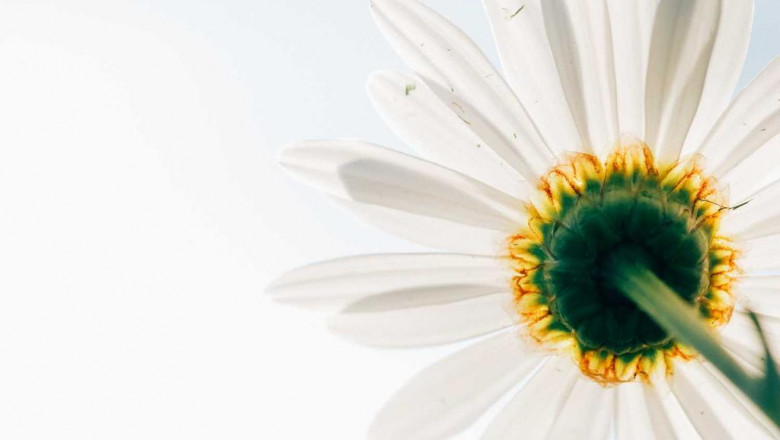 como evitar quedar bloqueado fuera de su casa