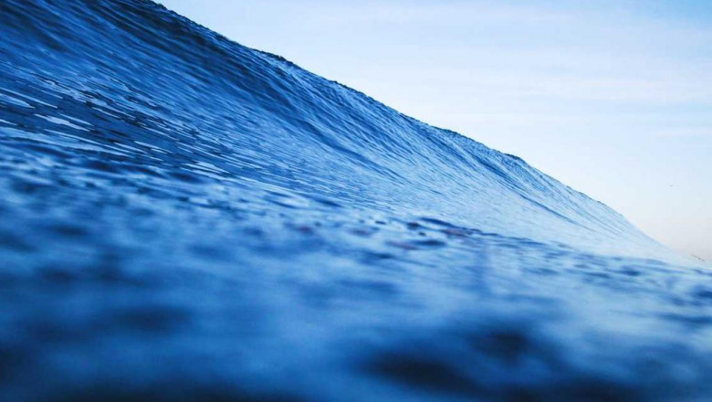 does your seofu wu pass the test 7 things you can improve on today