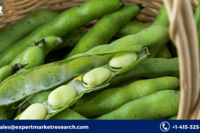 Global Fava Beans Market To Be Driven By Increased Demand From Consumers For Fava Beans In The Forecast Period Of 2021-2026