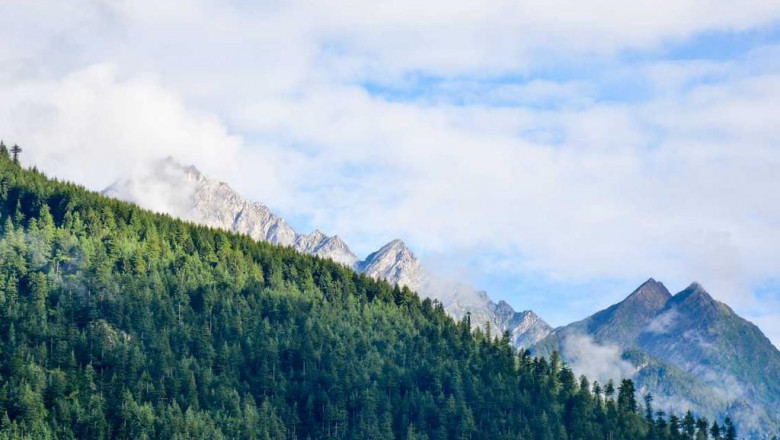 the most popular dance the year you were birthed