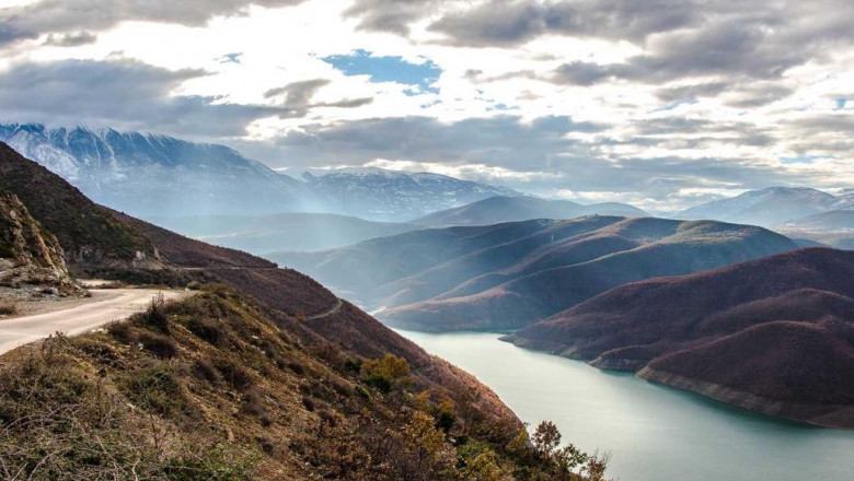 what will organic turmeric powder be like in 100 years