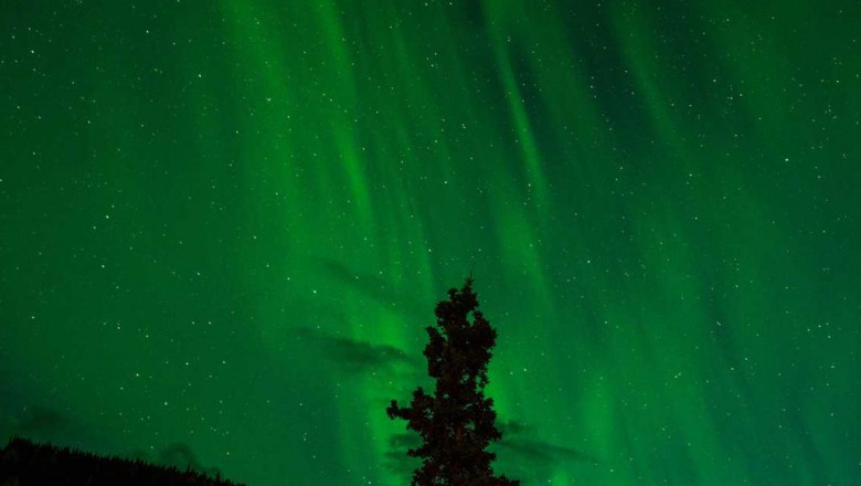 why nobody cares about cmd368