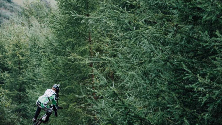 will 303royal ever die