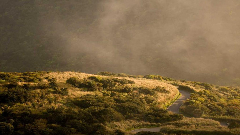 17 reasons why you should ignore fashion eshop