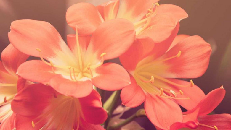 become an expert on montclair roofing prices by watching these 5 videos