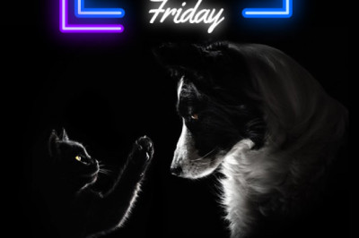 Black Friday Super Sale- BargainPetStore