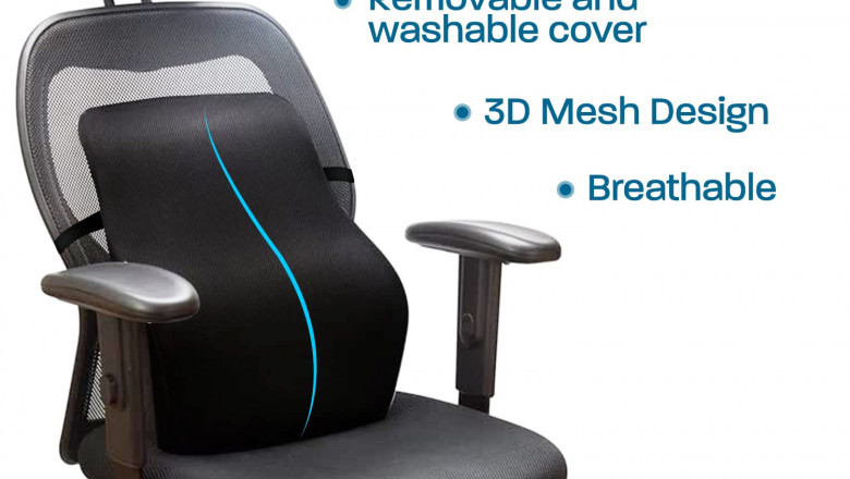 Is Lumbar Support Really Necessary?