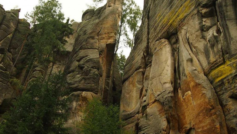 kitchen essentials bowls
