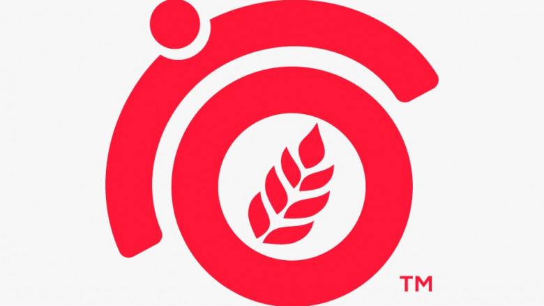 Locate the Top 10 SEO Companies in India