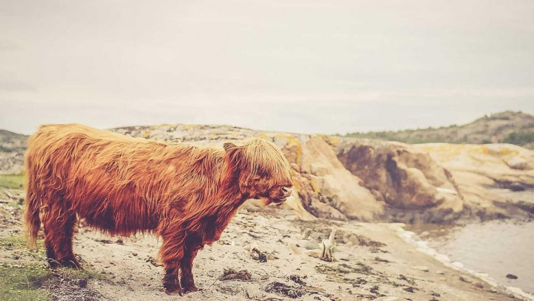 management accounting careers ima the association of accountants accounting firms london ontario