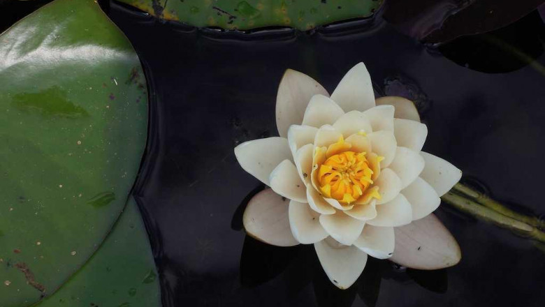 12 stats about split system air conditioner to make you look smart around the water cooler