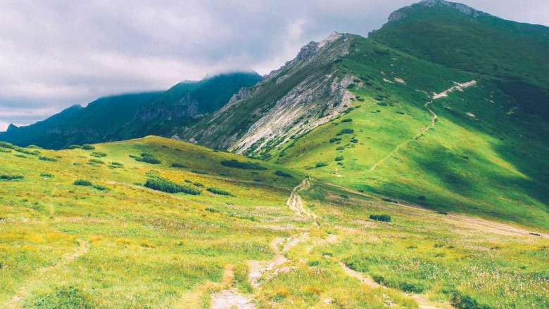 14 common misconceptions about montclair painters