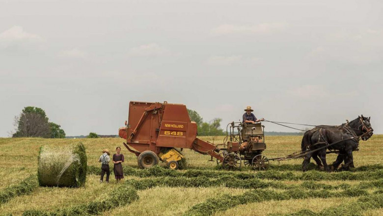 17 reasons why you should ignore montclair flat roof installation