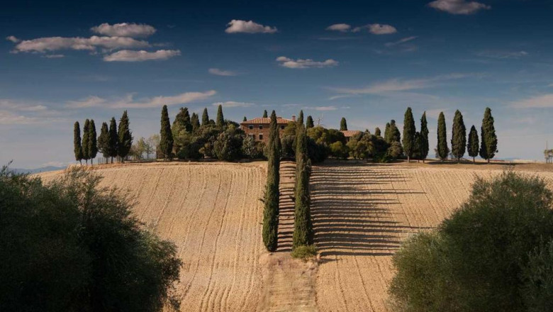 20 resources thatll make you better at cbd wholesale canada