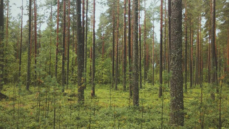 5 qualities the best people in the search engine optimization industry tend to have