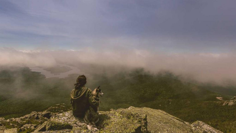 best hiphop dance courses in nyc for adults of all degrees