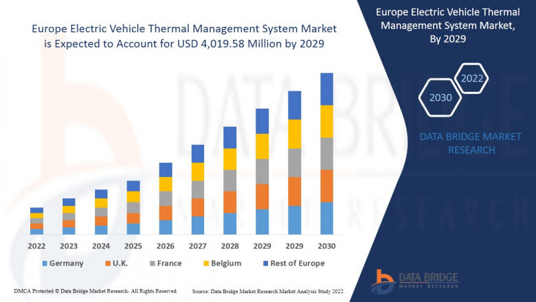 Europe Electric Vehicle Thermal Management System Market Leader