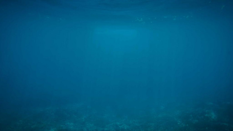 everything youve ever wanted to know about chemlato strain