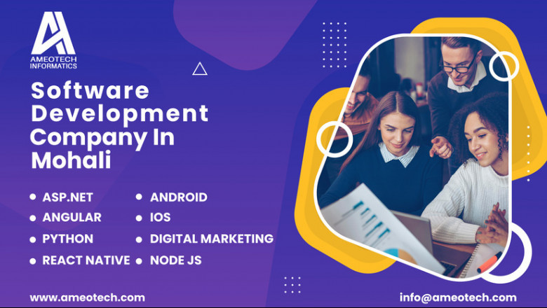 Hire Software Development Company In Mohali