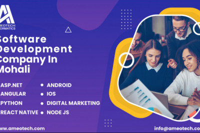 Hire Software Development Company In Mohali