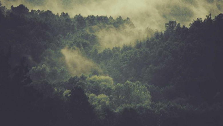 home based business tips how to safeguard your business from hackers