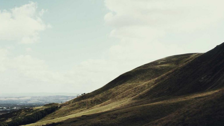 how to choose the right movie school