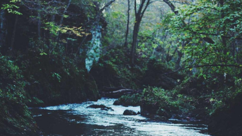 leadership skills 101 how to establish teen leadership