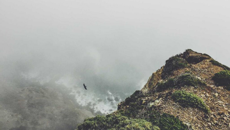 na jakiej podstawie starosta nakaze przesuniecie slupa slupow z granicy dzialek na dzialke ktoregokolwiek sasiada