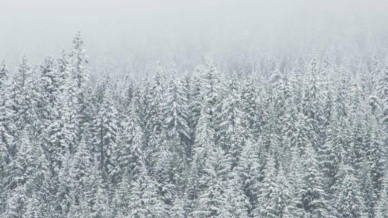 ready for sale fsg invites liverpool buyers